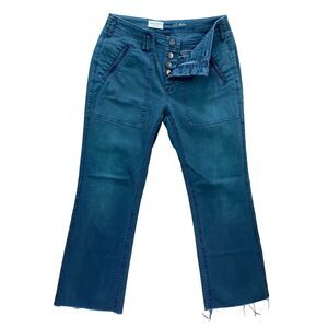 Pilcro Anthropologie Womens 27 Crop Pants Raw Hem Button Fly Straight Festival